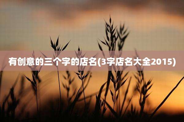 有创意的三个字的店名(3字店名大全2015)