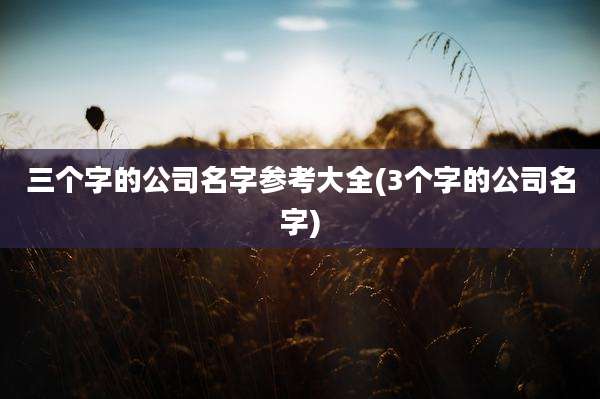 三个字的公司名字参考大全(3个字的公司名字)