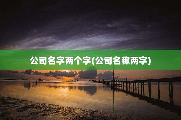 公司名字两个字(公司名称两字)