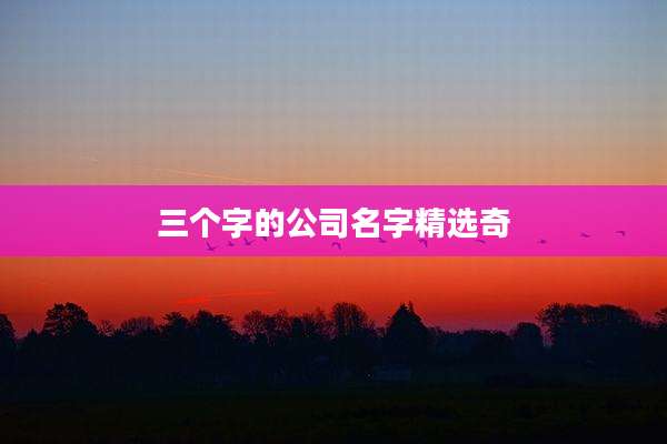 三个字的公司名字精选奇