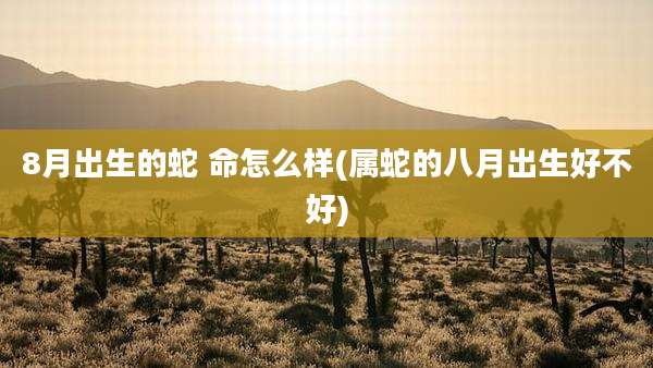 8月出生的蛇 命怎么样(属蛇的八月出生好不好)