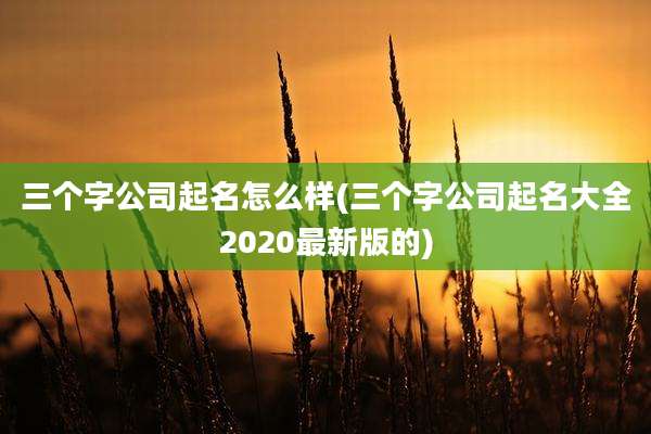 三个字公司起名怎么样(三个字公司起名大全2020最新版的)