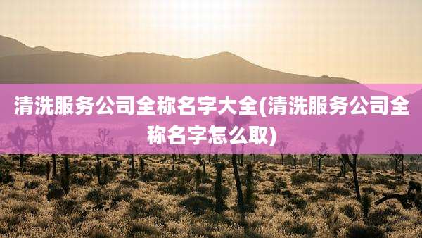 清洗服务公司全称名字大全(清洗服务公司全称名字怎么取)