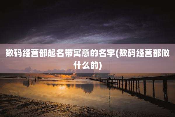 数码经营部起名带寓意的名字(数码经营部做什么的)