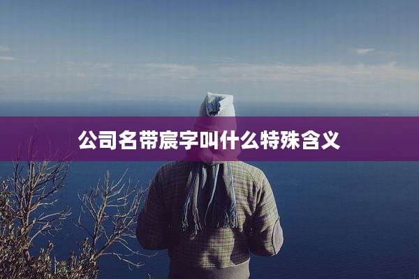 公司名带宸字叫什么特殊含义