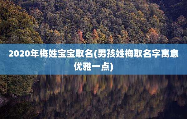 2020年梅姓宝宝取名(男孩姓梅取名字寓意优雅一点)