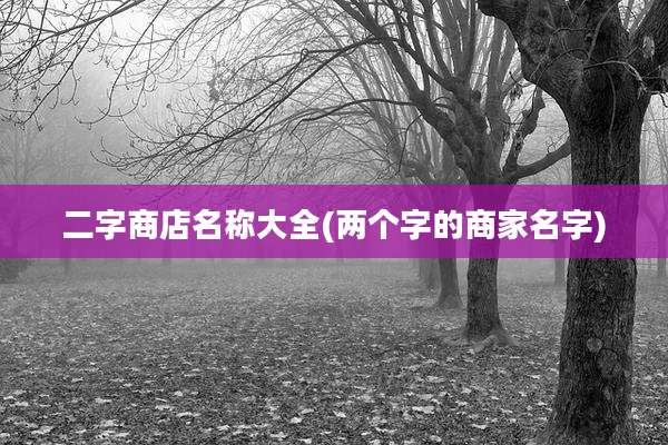 二字商店名称大全(两个字的商家名字)