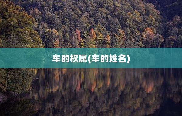 车的权属(车的姓名)