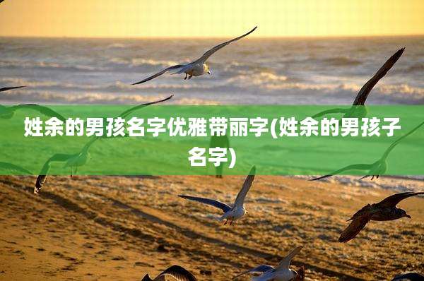 姓余的男孩名字优雅带丽字(姓余的男孩子名字)