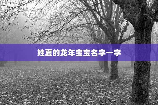 姓夏的龙年宝宝名字一字