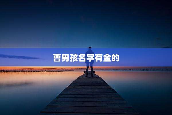 曹男孩名字有金的