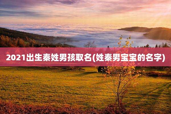 2021出生秦姓男孩取名(姓秦男宝宝的名字)