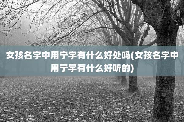 女孩名字中用宁字有什么好处吗(女孩名字中用宁字有什么好听的)