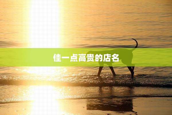 佳一点高贵的店名