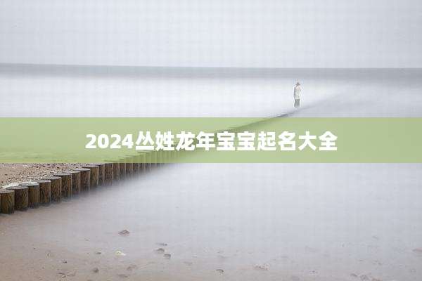 2024丛姓龙年宝宝起名大全