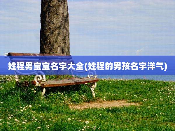 姓程男宝宝名字大全(姓程的男孩名字洋气)