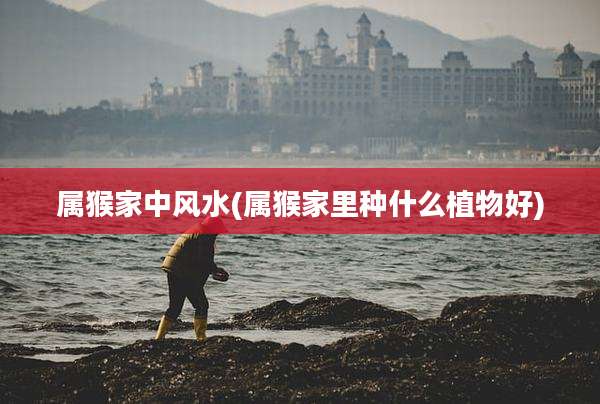 属猴家中风水(属猴家里种什么植物好)