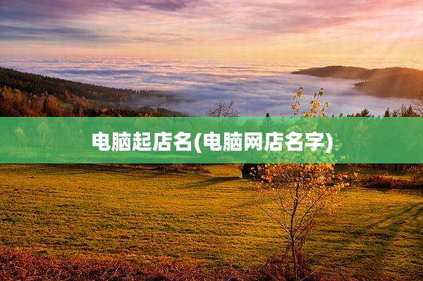 电脑起店名(电脑网店名字)