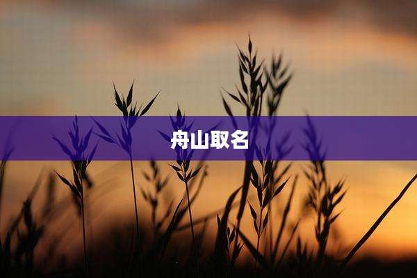 舟山取名