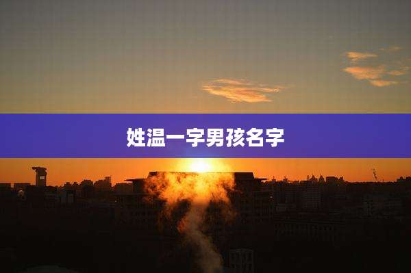 姓温一字男孩名字