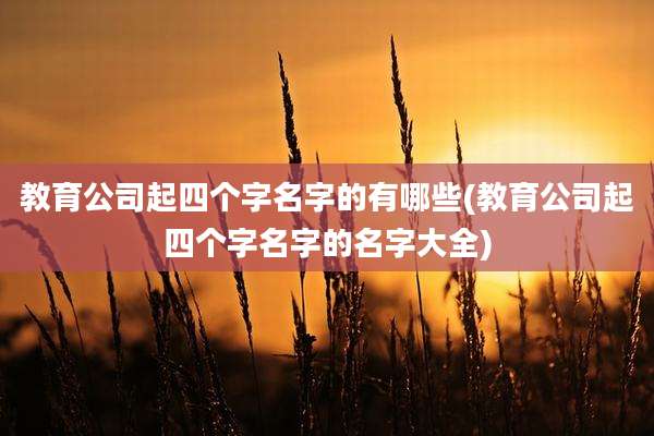 教育公司起四个字名字的有哪些(教育公司起四个字名字的名字大全)