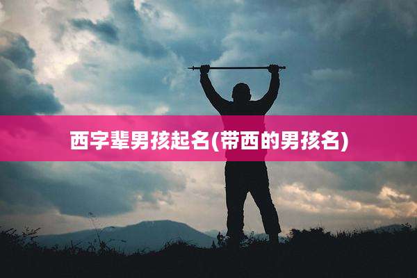 西字辈男孩起名(带西的男孩名)