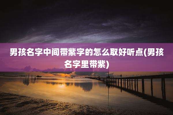 男孩名字中间带紫字的怎么取好听点(男孩名字里带紫)