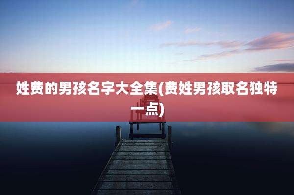 姓费的男孩名字大全集(费姓男孩取名独特一点)