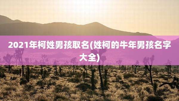 2021年柯姓男孩取名(姓柯的牛年男孩名字大全)