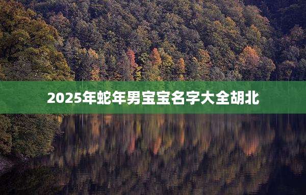 2025年蛇年男宝宝名字大全胡北