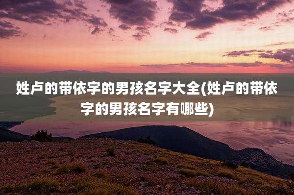 姓卢的带依字的男孩名字大全(姓卢的带依字的男孩名字有哪些)