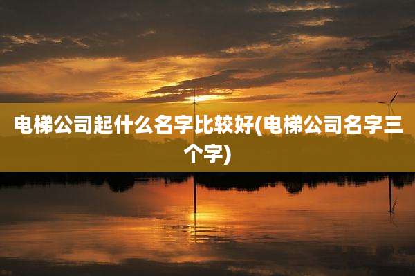 电梯公司起什么名字比较好(电梯公司名字三个字)