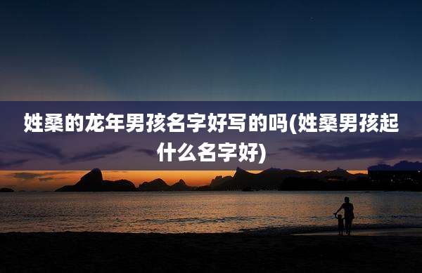 姓桑的龙年男孩名字好写的吗(姓桑男孩起什么名字好)