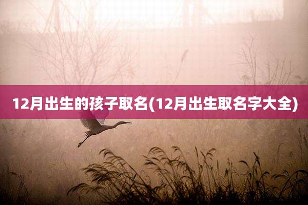 12月出生的孩子取名(12月出生取名字大全)