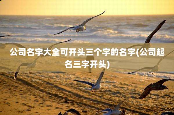 公司名字大全可开头三个字的名字(公司起名三字开头)