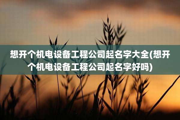 想开个机电设备工程公司起名字大全(想开个机电设备工程公司起名字好吗)