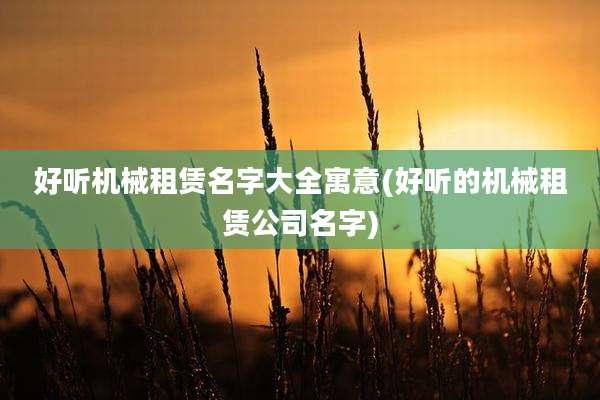 好听机械租赁名字大全寓意(好听的机械租赁公司名字)