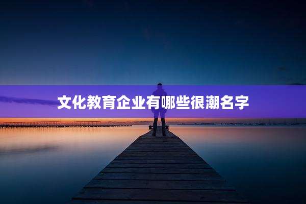 文化教育企业有哪些很潮名字
