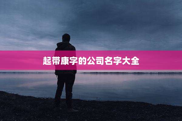 起带康字的公司名字大全