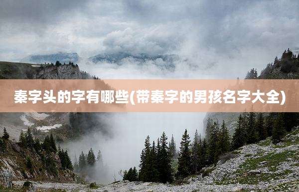 秦字头的字有哪些(带秦字的男孩名字大全)