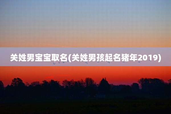 关姓男宝宝取名(关姓男孩起名猪年2019)