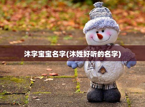 沐字宝宝名字(沐姓好听的名字)