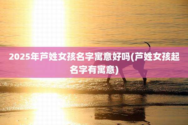 2025年芦姓女孩名字寓意好吗(芦姓女孩起名字有寓意)