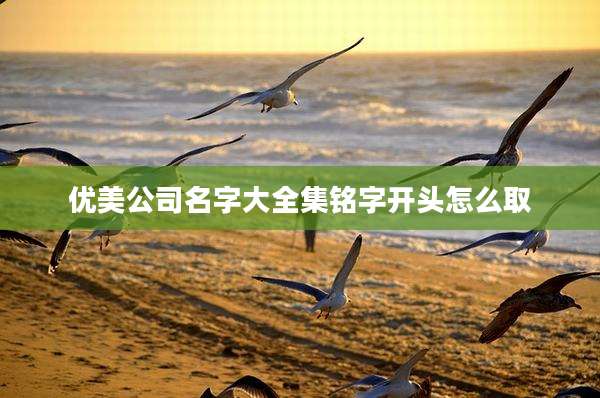 优美公司名字大全集铭字开头怎么取