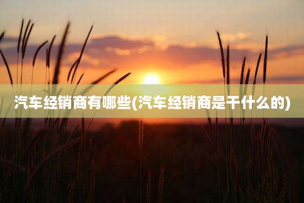 汽车经销商有哪些(汽车经销商是干什么的)