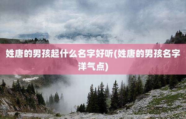 姓唐的男孩起什么名字好听(姓唐的男孩名字洋气点)