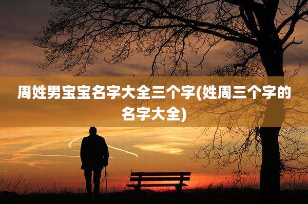 周姓男宝宝名字大全三个字(姓周三个字的名字大全)