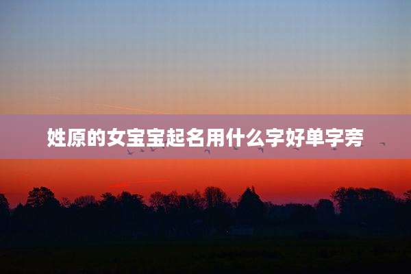 姓原的女宝宝起名用什么字好单字旁