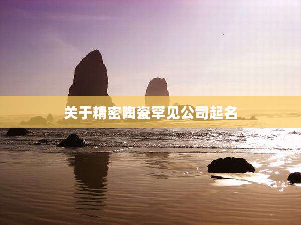 关于精密陶瓷罕见公司起名
