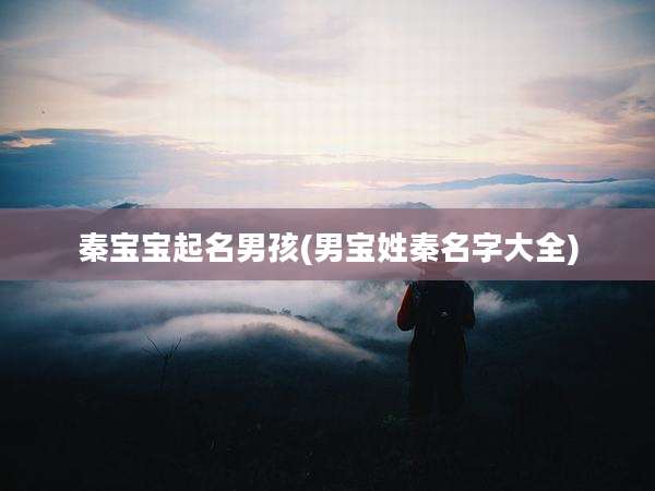 秦宝宝起名男孩(男宝姓秦名字大全)